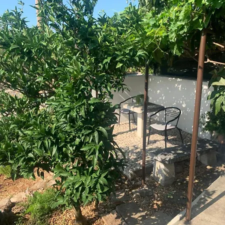 Bella Vista Seget تروغير